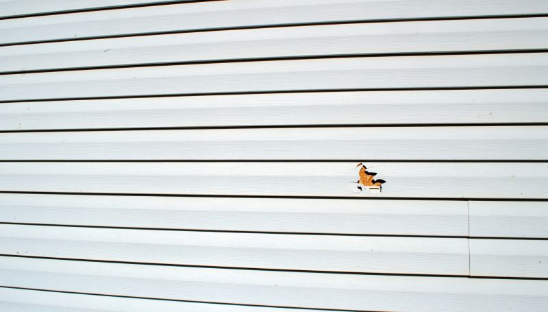 Benefits of Timely Siding Service